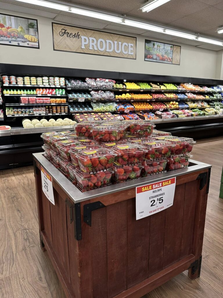 495091742 122128415792664742 1788278033896836890 n