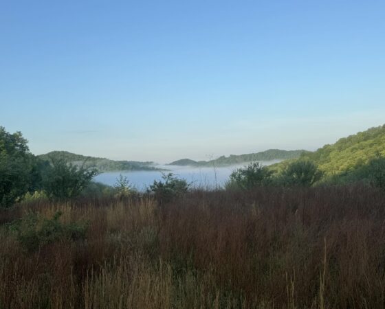 renew appalachia martin County reclaim mine abandoned land