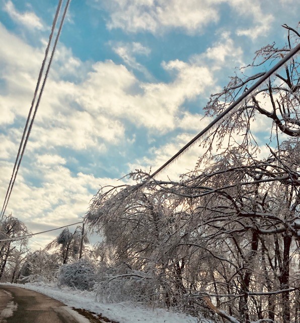 Trees hand on power lines in Boyd County, Kentucky, in FEbruary 2021 ice storm.
