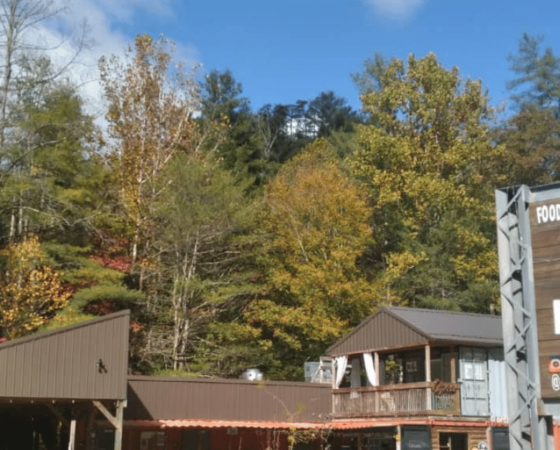 Banner blog for wbesite 2