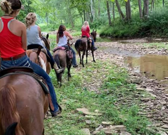 Banner blog for wbesite