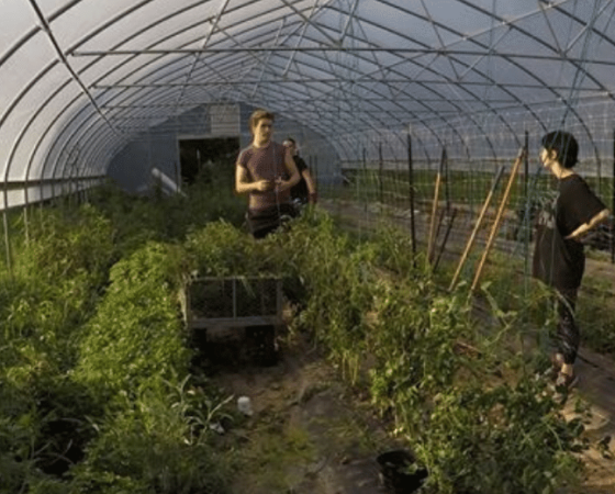 Cowan COmmunity Center Grow Appalachia