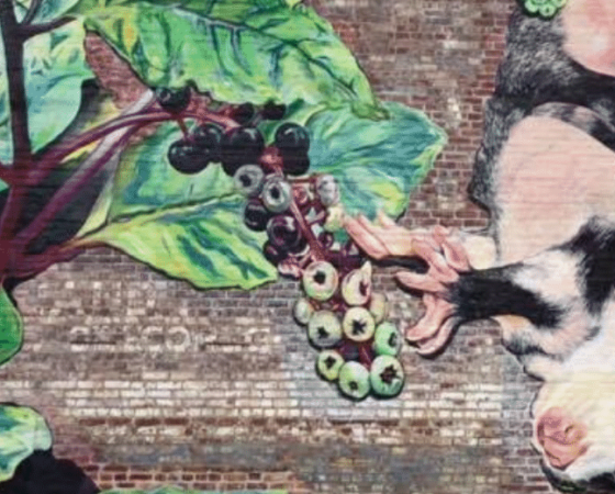 Art by Lacy Hale Whitesburg Kentucky MACED supports Eastern Kentucky artists.